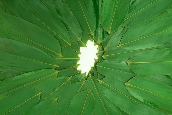 u=2534095049,1360249381&fm=253&fmt=auto&app=138&f=JPEG.webp.jpg